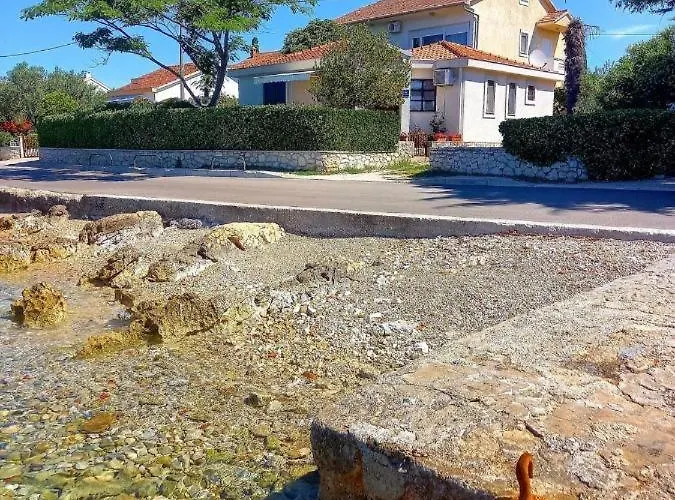 House Of Albina- 10 M Od Mora